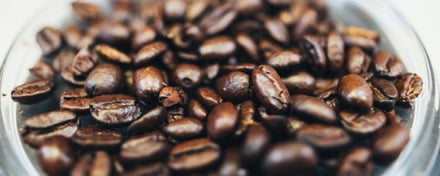 Robusta