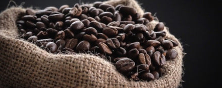 Termes au tour du café